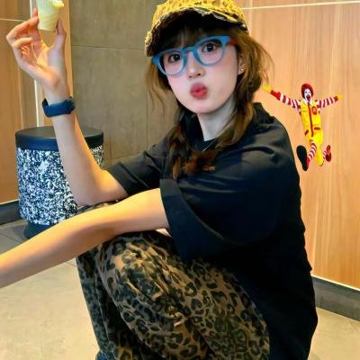 功夫机器侠之南拳